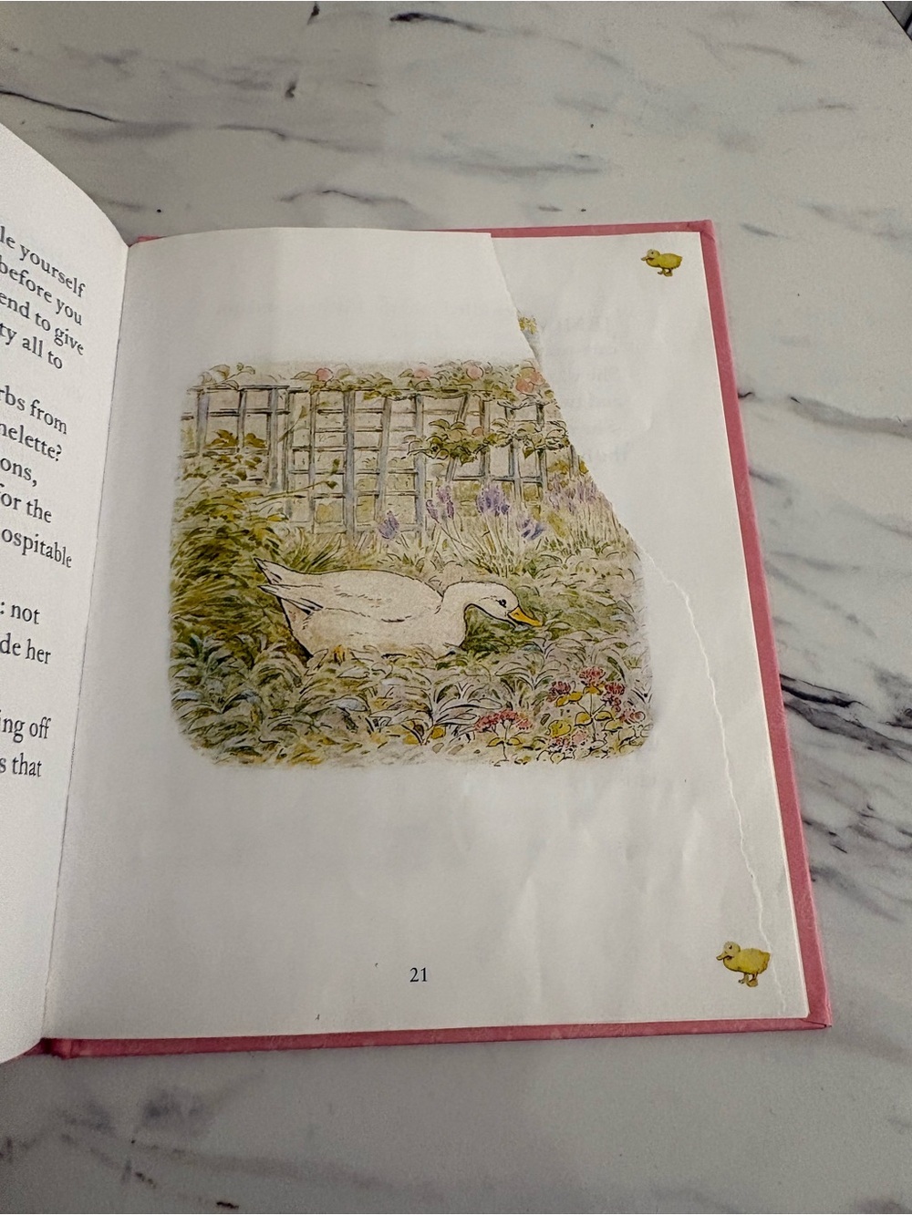 Beatrix Potter The Complete Peter Rabbit Library boxed set 23 book collection - Picture 15 of 16